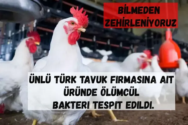 Aman Dikkat! tavuk firmasına ait üründe ölümcül bakteri tespit edildi