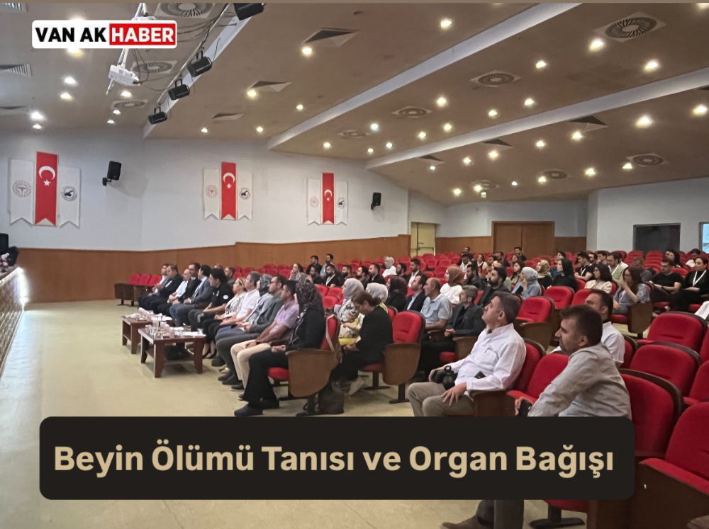 Van’da 