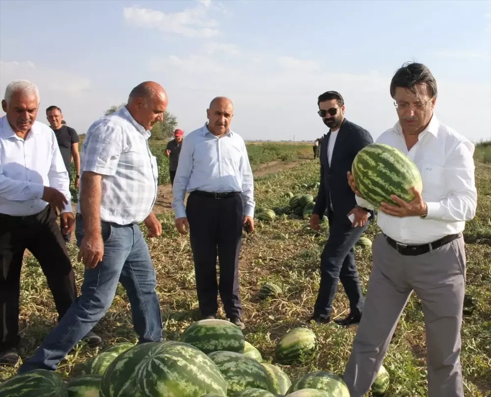 Milletvekili Türkmenoğlu, Van